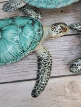 Sea Turtle Wall Art, Turtle Wall Art, Turtle Decor, Sea Turtle Decor, Turtle Wall Decor, Sea Turtle Wall Decor - Pink Horse Florida