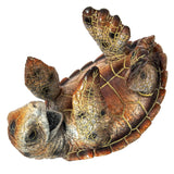 Sea Turtle Bottle Holder, Turtle Figurine, Natural Color Turtle Wine Bottle Holder - Pink Horse Florida