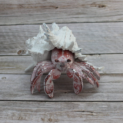 Hermit Crab Figurine Coastal Decor Marine Life Sculpture Handcrafted Crab Art Lifelike Hermit Crab Replica Ocean-Inspired Decor - Pink Horse Florida