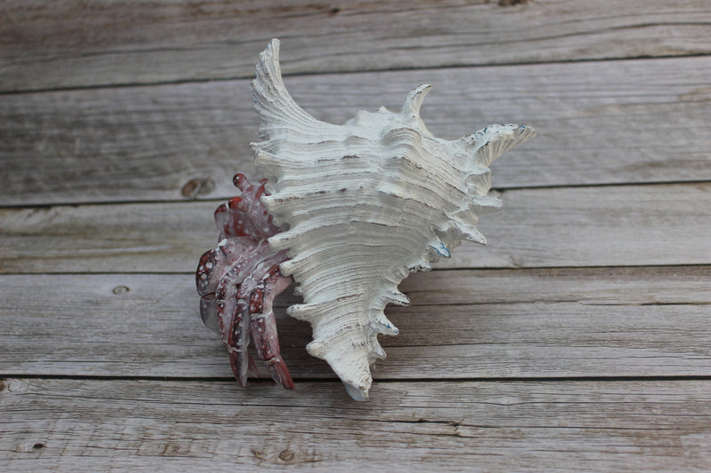 Hermit Crab Figurine Coastal Decor Marine Life Sculpture Handcrafted Crab Art Lifelike Hermit Crab Replica Ocean-Inspired Decor - Pink Horse Florida