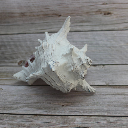 Hermit Crab Figurine Coastal Decor Marine Life Sculpture Handcrafted Crab Art Lifelike Hermit Crab Replica Ocean-Inspired Decor - Pink Horse Florida