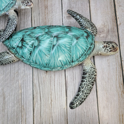 Sea Turtle Wall Art, Turtle Wall Art, Turtle Decor, Sea Turtle Decor, Turtle Wall Decor, Sea Turtle Wall Decor - Pink Horse Florida