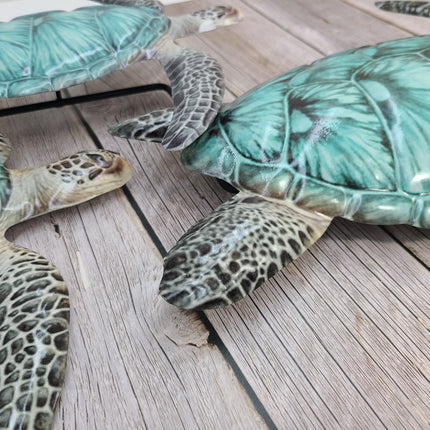 Sea Turtle Wall Art, Turtle Wall Art, Turtle Decor, Sea Turtle Decor, Turtle Wall Decor, Sea Turtle Wall Decor - Pink Horse Florida
