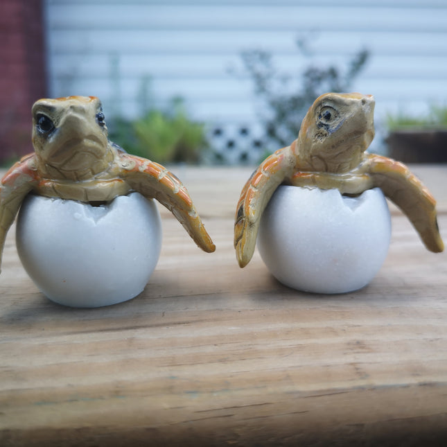 Sea Turtle Eggs SET OF TWO, Sea Turtle Figurine, Turtle Lover Gift, Turtle Sculpture, Baby Turtle, Ocean Lover Gift, Turtle Eggs - Pink Horse Florida