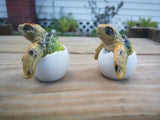 Sea Turtle Eggs SET OF TWO, Sea Turtle Figurine, Turtle Lover Gift, Turtle Sculpture, Baby Turtle, Ocean Lover Gift, Turtle Eggs - Pink Horse Florida