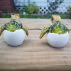 Set Of Two GREEN Color Eggs