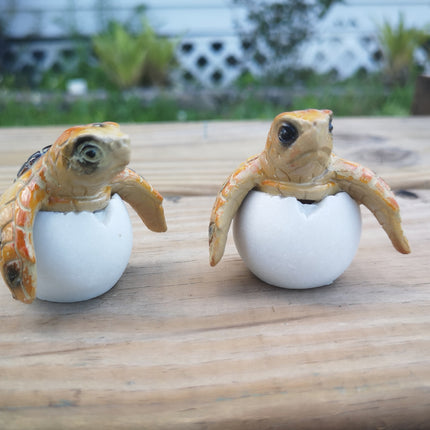 Sea Turtle Eggs SET OF TWO, Sea Turtle Figurine, Turtle Lover Gift, Turtle Sculpture, Baby Turtle, Ocean Lover Gift, Turtle Eggs - Pink Horse Florida