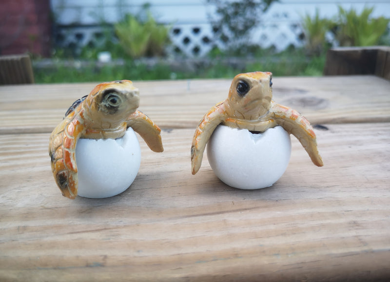 Sea Turtle Eggs SET OF TWO, Sea Turtle Figurine, Turtle Lover Gift, Turtle Sculpture, Baby Turtle, Ocean Lover Gift, Turtle Eggs - Pink Horse Florida